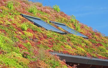 Baslow living roof systems